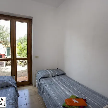 La Cinta 6 *
